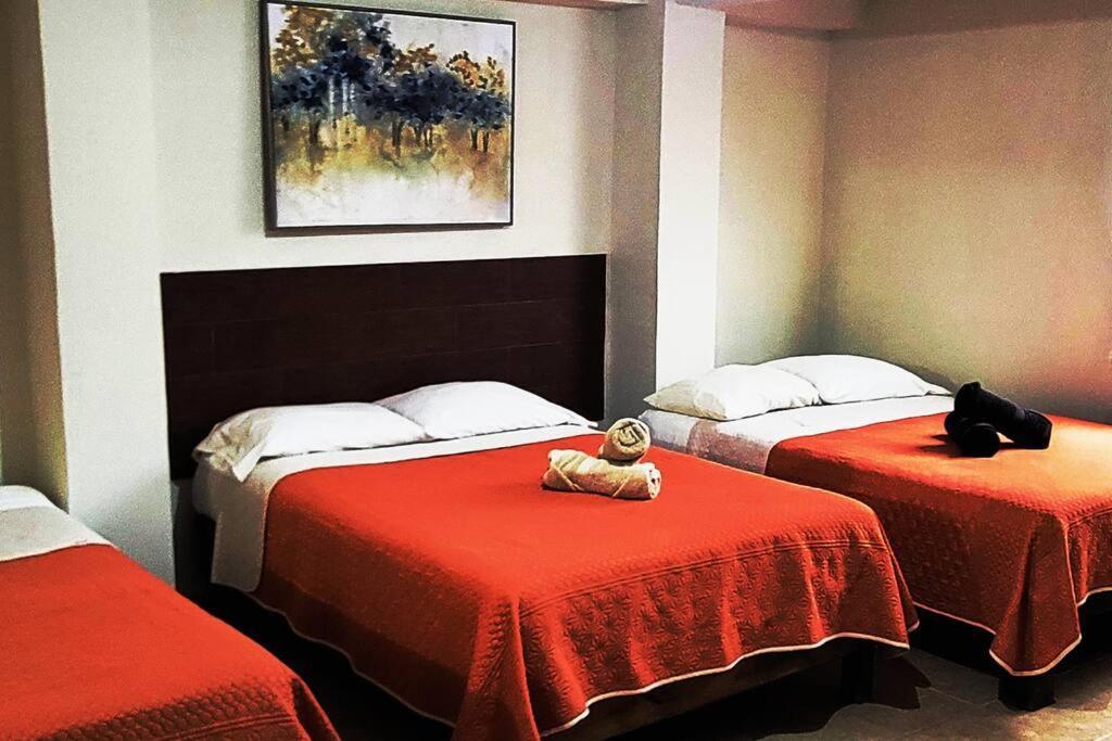 Loft Centrico 3 Camas Matrimoniales,Aire Acondicionado, Parking Apartment ซิวดัด วัลเลส ภายนอก รูปภาพ